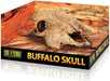 Exo Terra Terrarium Buffalo Skull Decoration