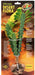 Zoo Med Euphorbia Desert Flora Terrarium Plant