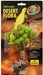Zoo Med Tree Houseleek Desert Flora Terrarium Plant