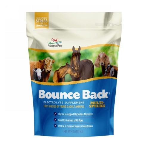 Bounce Back Multi-Species Electrolyte Supplement 4 Lbs by Manna Pro