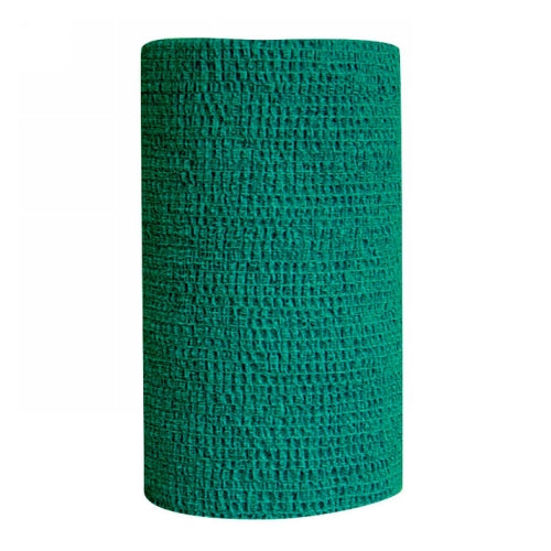Co-Flex Self Adhesive Bandage Green 1 Each by Andover