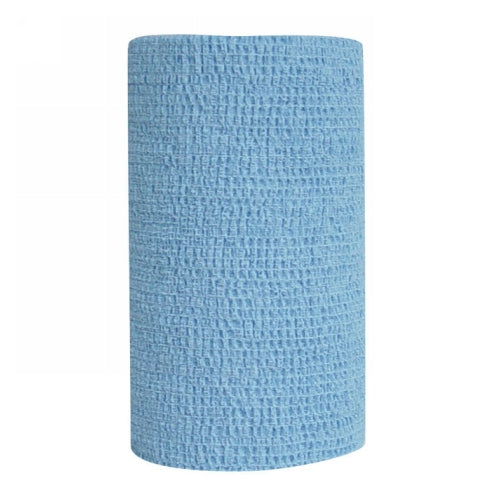Co-Flex Self Adhesive Bandage Light Blue 1 Each by Andover