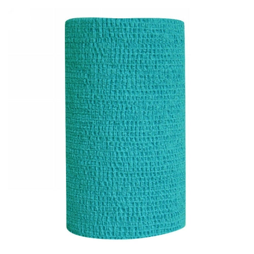 Co-Flex Self Adhesive Bandage Teal 1 Each by Andover