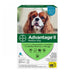 Advantage II Flea Treatment For Dogs 11-20 Lbs (Teal) by Elanco