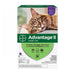 Advantage II Flea Treatment For Cats 9 Lbs (Purple) by Elanco