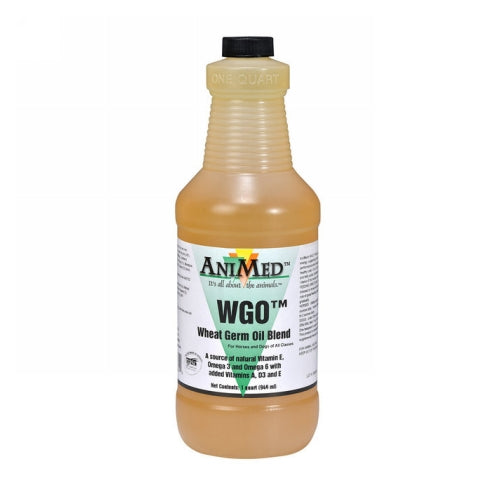 Wheat Germ Oil Blend 1 Count by Animed