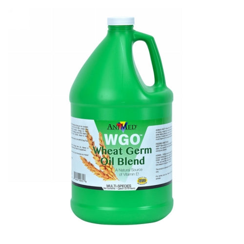 Wheat Germ Oil Blend 1 Gallon by Animed