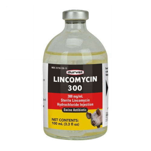 Lincomycin 300 Swine Injectable 100 Ml by Durvet