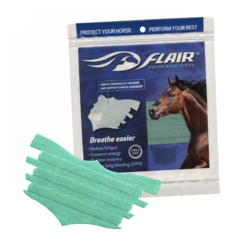 Flair Equine Nasal Strips Turquoise 1 Each by Flair