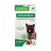 Advantus Flea Treatment Soft Chews for Dogs 4-22 Lbs by Elanco