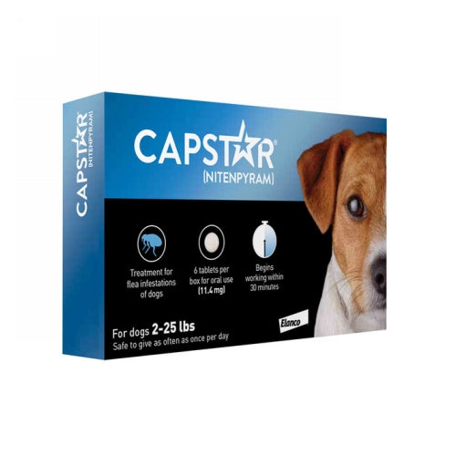 Capstar Flea Treatment for Dogs 2.25 Lbs by Elanco