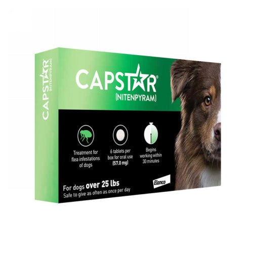 Capstar Flea Treatment for Dogs 25 Lbs by Elanco