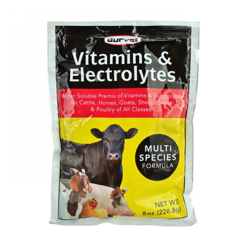 Vitamins & Electrolytes Multispecies Supplement 8 Oz by Durvet