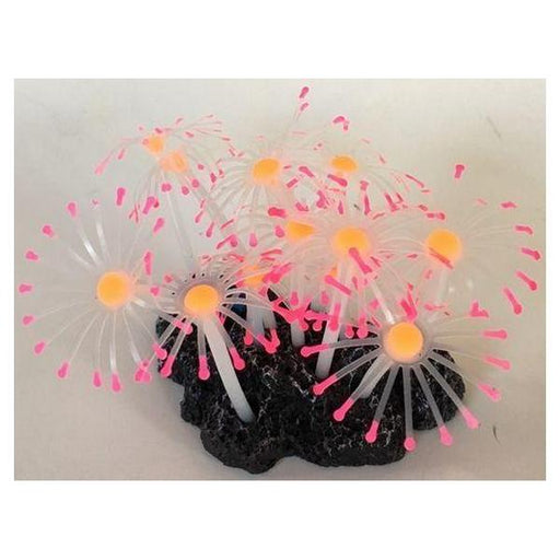 Aquatic Creations Aquarium Decor Star Polyps Pink & Orange - 1 count - Giftscircle