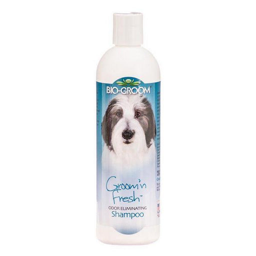 Bio Groom Groom N Fresh Shampoo - 12 oz - Giftscircle