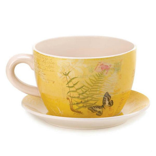 Butterfly Dolomite Tea Cup Planter - 4.5 inches - Giftscircle