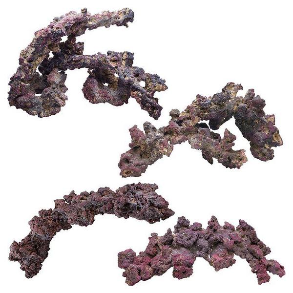 Caribsea Life Rock Arches for Reef Aquariums - 20 lbs (4 x 12" Rocks) - Giftscircle