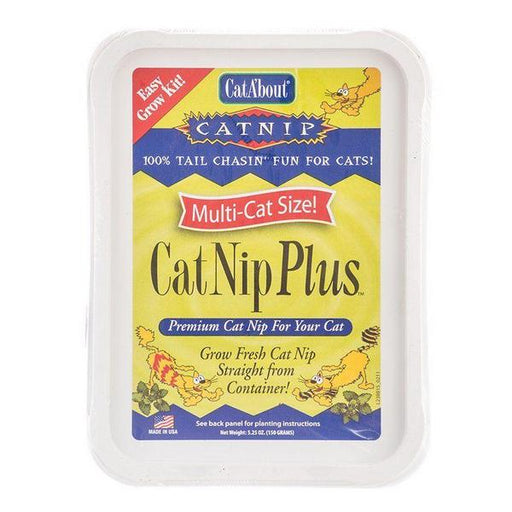 CatA'bout CatNip Plus Easy Grow Kit - 5.25 oz (250 mg) Catnip Seed - Giftscircle