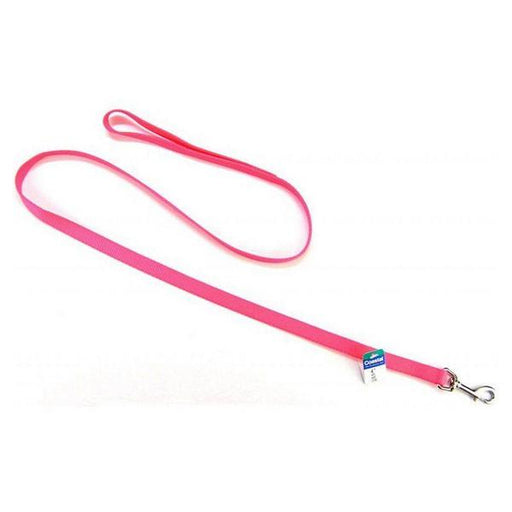 Coastal Pet Nylon Lead - Neon Pink - 4' Long x 5/8" Wide - Giftscircle
