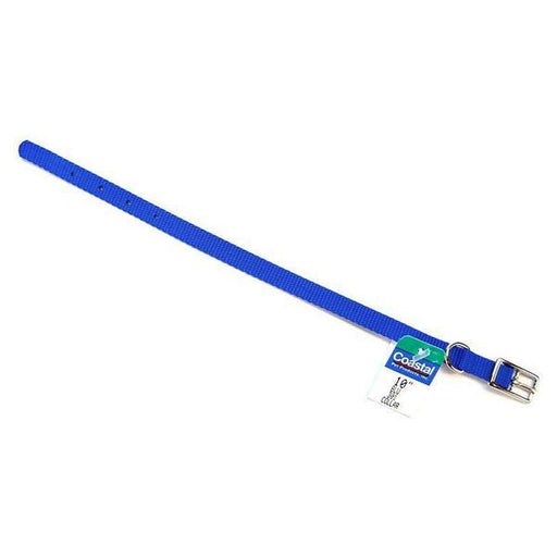 Coastal Pet Single Nylon Collar - Blue - 10" Long x 3/8" Wide - Giftscircle