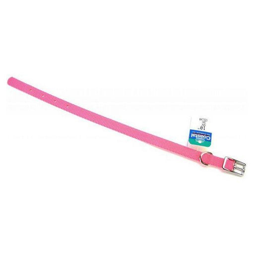 Coastal Pet Single Nylon Collar - Neon Pink - 10" Long x 3/8" Wide - Giftscircle