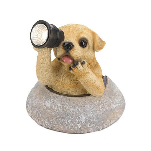 Dog with Telescope Solar Garden Light - Giftscircle