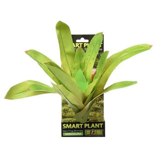 Exo Terra Dart Frog Bromelia Smart Terrarium Plant - Medium - 1 count - Giftscircle