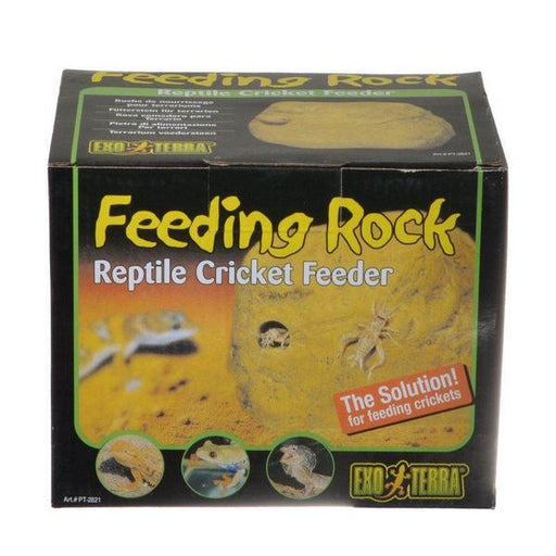 Exo-Terra Feeding Rock Reptile Cricket Feeder - 1 Pack - Giftscircle