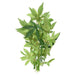 Exo-Terra Silk Abuliton Forest Plant - Large - Giftscircle