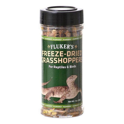 Flukers Freeze-Dried Grasshoppers - 1 oz - Giftscircle