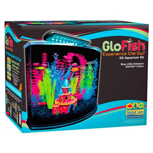 GloFish Aquarium Kit with LED Lighting - 5 Gallon Aquarium Kit - Giftscircle
