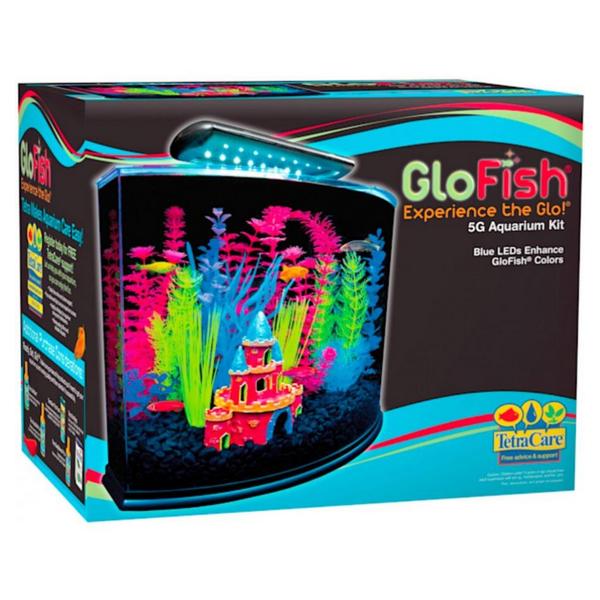 GloFish Aquarium Kit with LED Lighting - 5 Gallon Aquarium Kit — Giftscircle
