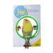 JW Insight Clear Ring Bird Perch - Clear Ring Bird Perch - Giftscircle