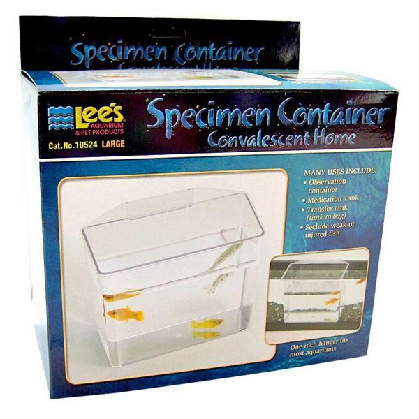 Lees Specimen Container Convalescent Home - Large - 7"L x 3.25"W x 6"H - Giftscircle