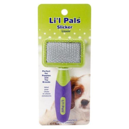 Li'l Pals Tiny Slicker Brush - Tiny Slicker Brush - Giftscircle