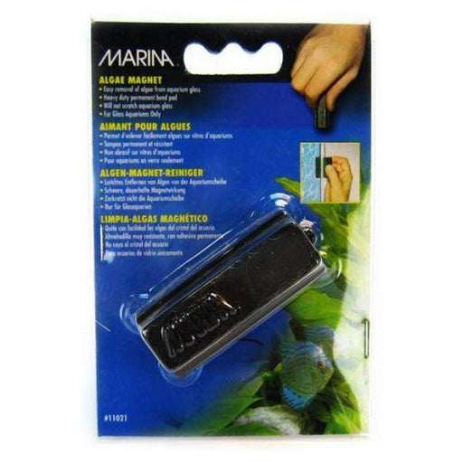 Marina Algae Magnet Aquarium Cleaner - Small - Giftscircle