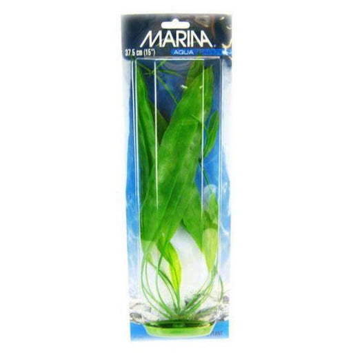Marina Amazon Sword Plant - 15" Tall - Giftscircle