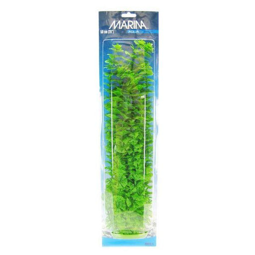 Marina Aquascaper Ambulia Plant - 20" Tall - Giftscircle