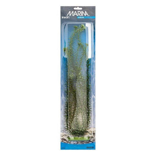 Marina Aquascaper Anacharis Plant - 20" Tall - Giftscircle