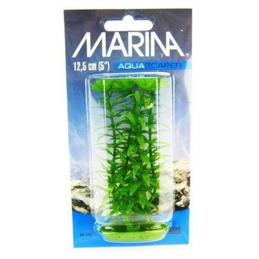 Marina Aquascaper Anacharis Plant - 5" Tall - Giftscircle
