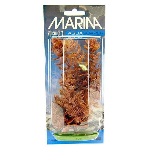 Marina Aquascaper Foxtail Plant - 8" Tall - Giftscircle