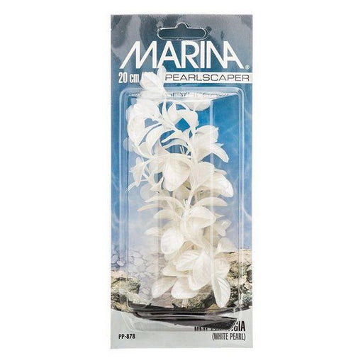Marina Pearlscaper Ludwigia Plant - White Pearl - 8" Tall - Giftscircle