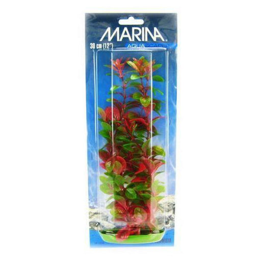 Marina Red Ludwigia Plant - 12" Tall - Giftscircle