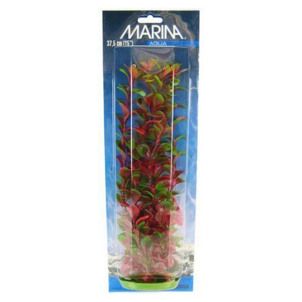 Marina Red Ludwigia Plant - 15" Tall - Giftscircle