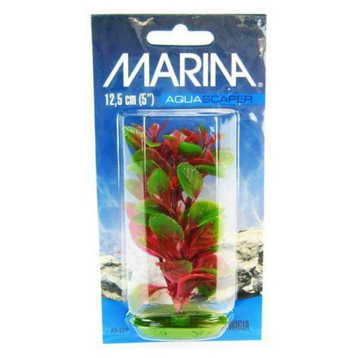 Marina Red Ludwigia Plant - 5" Tall - Giftscircle