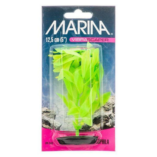 Marina Vibrascaper Hygrophilia Plant - Green DayGlo - 5" Tall - Giftscircle