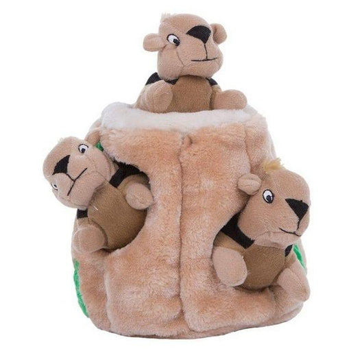 Outward Hound Plush Hide-A-Squirrel Puzzle Dog Toy - 1 count - Giftscircle