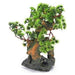 Penn Plax Bonsai Tree on Rocks Aquarium Ornament - 7 x 6 x 12 - Giftscircle