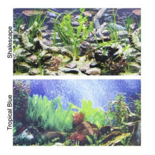 Penn Plax Double-Back Aquarium Background - Tropical Blue / Shalescape - 24" Tall x 48" Wide - (Fits 45-120 Gallon Tanks) - Giftscircle