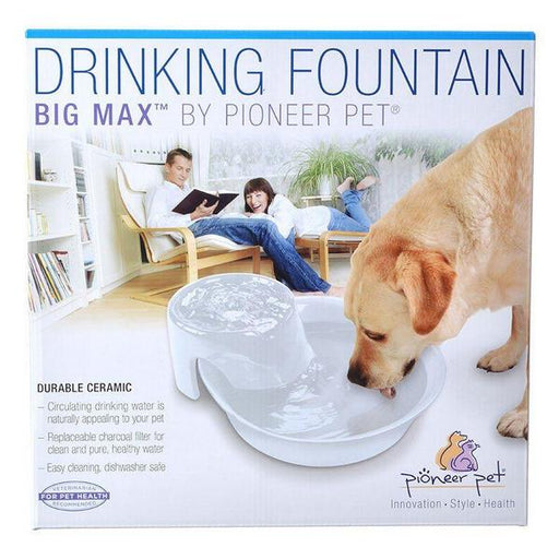 Pioneer Big Max Ceramic Drinking Fountain - White - 128 oz - Giftscircle